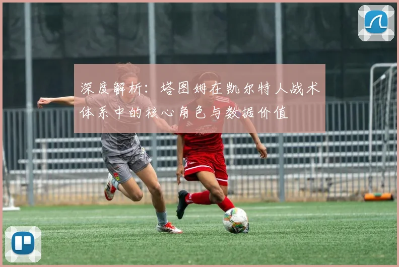 深度解析：塔图姆在凯尔特人战术体系中的核心角色与数据价值